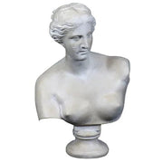 Venus De Milo Bust Medium Bust Display Decor (21 - Inch) Side View