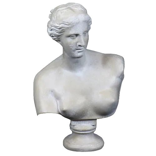 Venus De Milo Bust Medium Bust Display Decor (21 - Inch) Side View