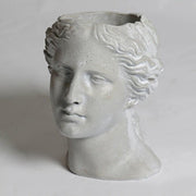 Venus Head Planter Bust Display Decor (13.5 - Inch)