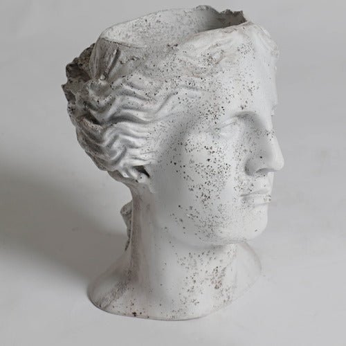 Venus Head Planter Bust Display Decor (13.5 - Inch) Other Angle
