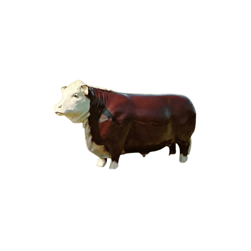 Western Steer Garden Statue (49 - Inch) Side View