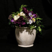 Williams Garden (10 - Inch) Side Angle